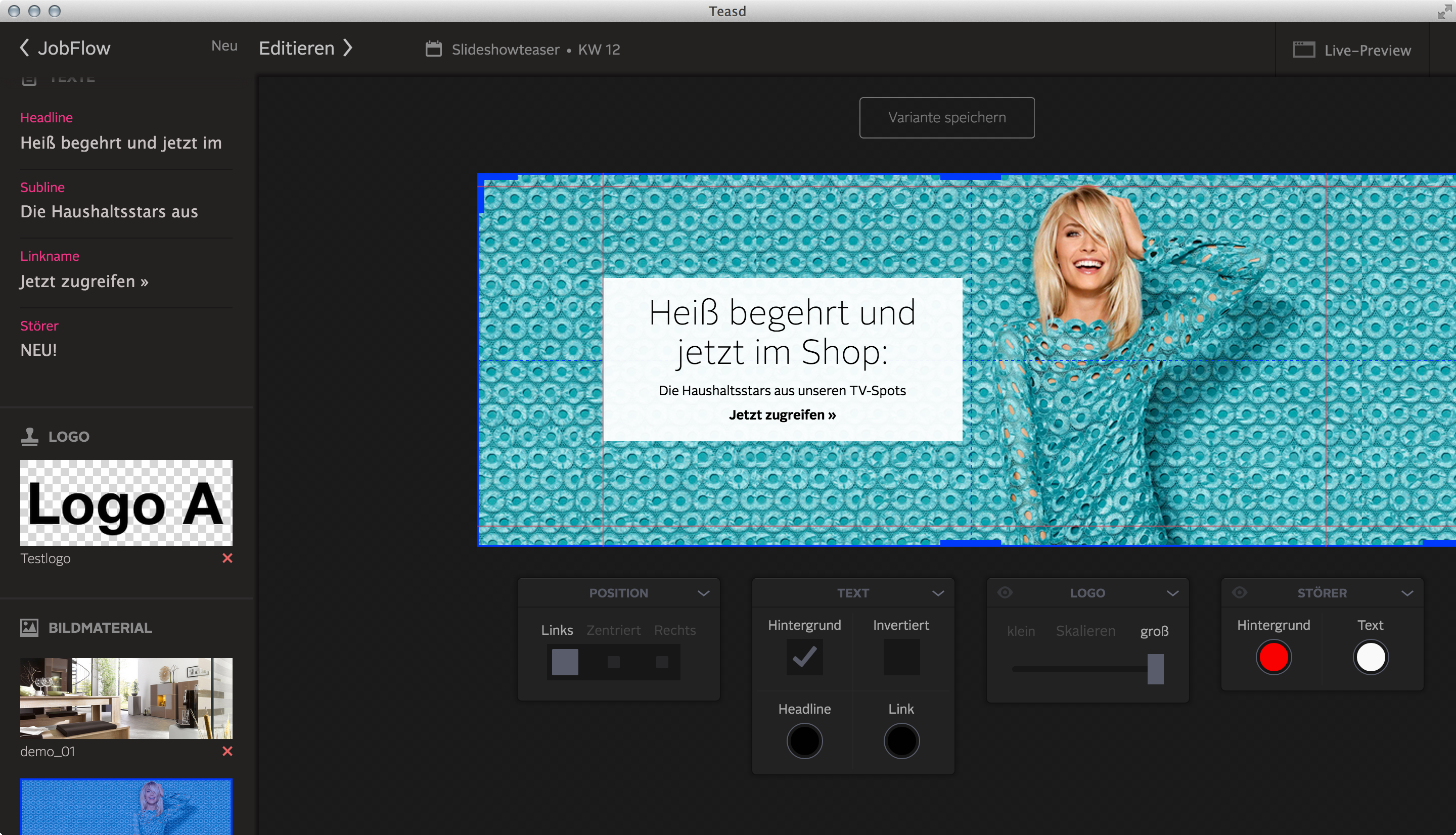 Teasd input: briefing entry